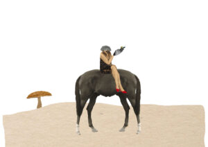 illustration of a woman sitting on a horse with two butts